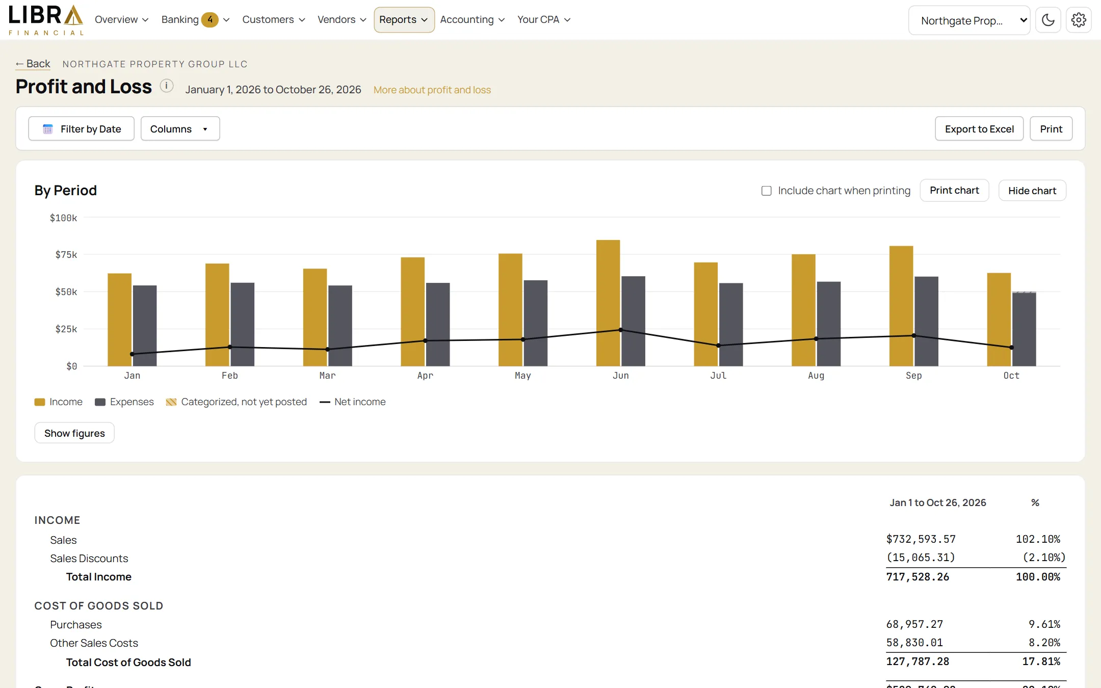 Profit and loss in the light look: a bar chart of income and expenses by month with a net income line, then income and cost of goods sold in the classic layout.