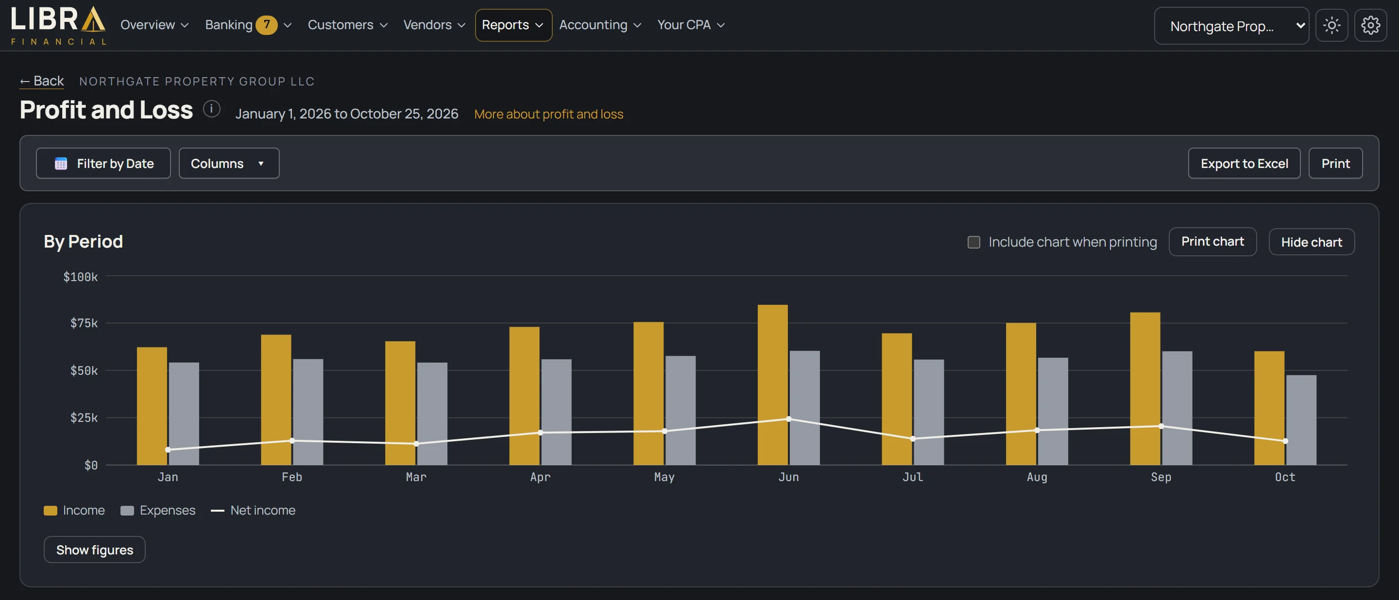 Profit and loss report page with a bar chart of income, expenses and net income for each month of the year